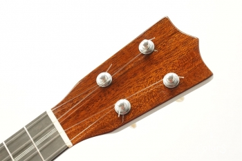 HM-C20 Concert -TR10th Anniversary Model- #361